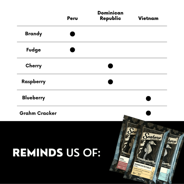 Six Month Three Pack Chocolate Gift Subscription - Seahorse Chocolate